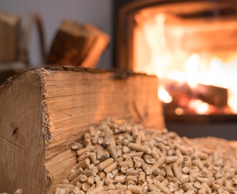 Poêle à granulés ou poêle à bois en Vendée : quelle option privilégier ?